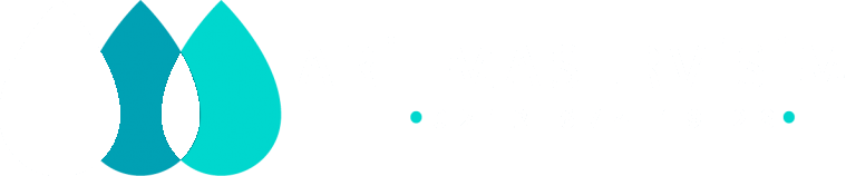 ARITMASERVİSİM